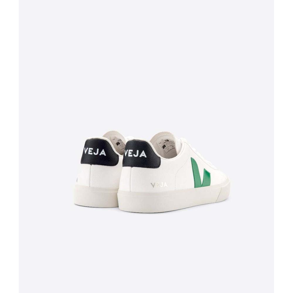 Low Tops Sneakers Barbati Veja CAMPO CHROMEFREE Albi | RO 292UZG